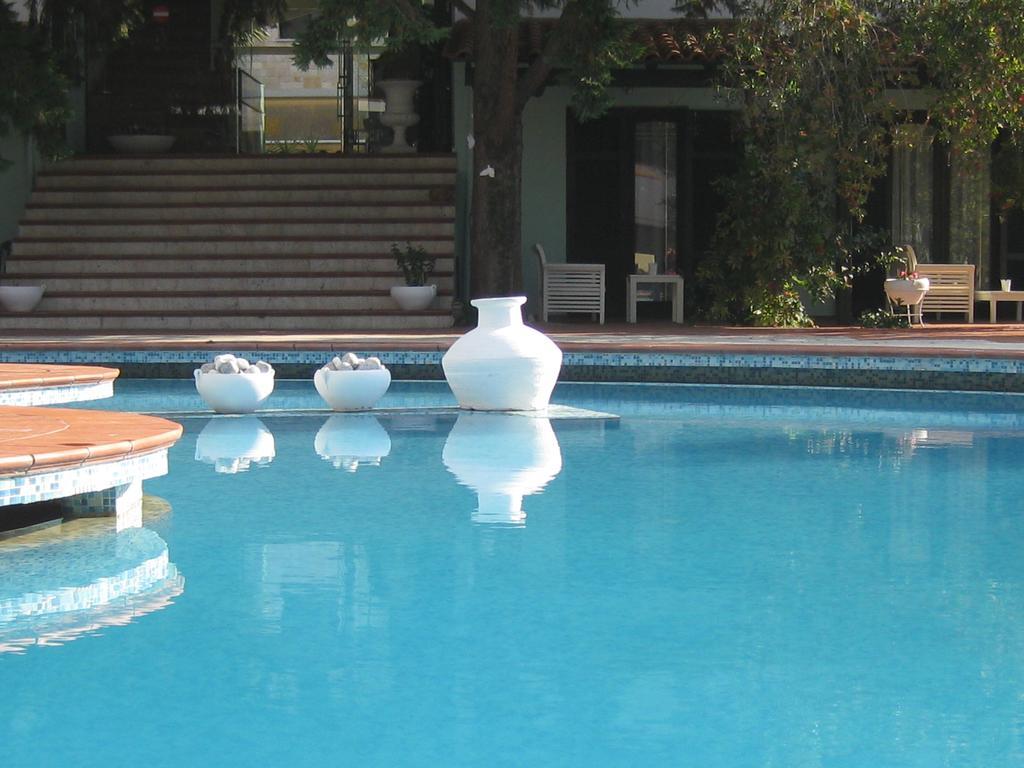 Eden Hotel Afytos Zewnętrze zdjęcie